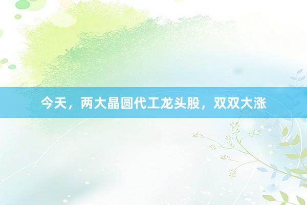今天，两大晶圆代工龙头股，双双大涨