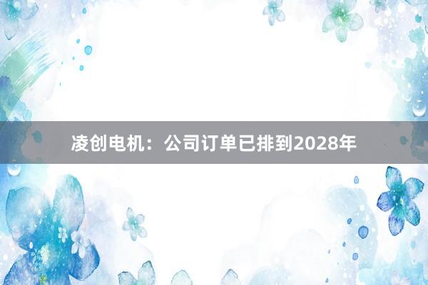 凌创电机：公司订单已排到2028年