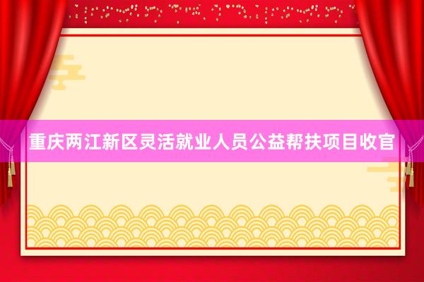 重庆两江新区灵活就业人员公益帮扶项目收官