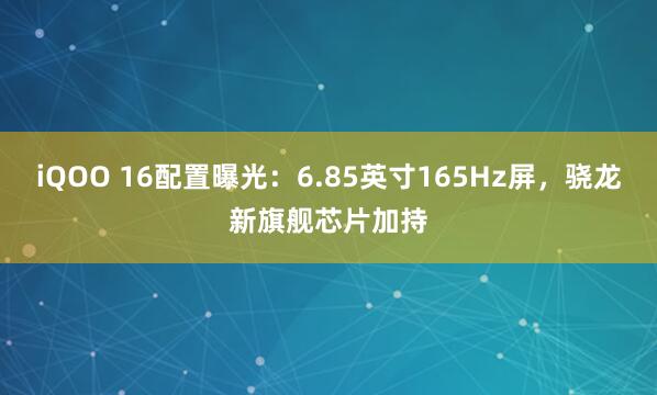 iQOO 16配置曝光：6.85英寸165Hz屏，骁龙新旗舰芯片加持
