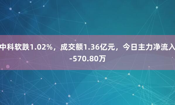 中科软跌1.02%，成交额1.36亿元，今日主力净流入-570.80万