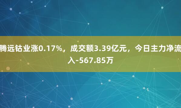 腾远钴业涨0.17%，成交额3.39亿元，今日主力净流入-567.85万