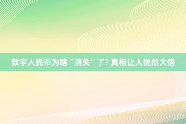 数字人民币为啥“消失”了? 真相让人恍然大悟