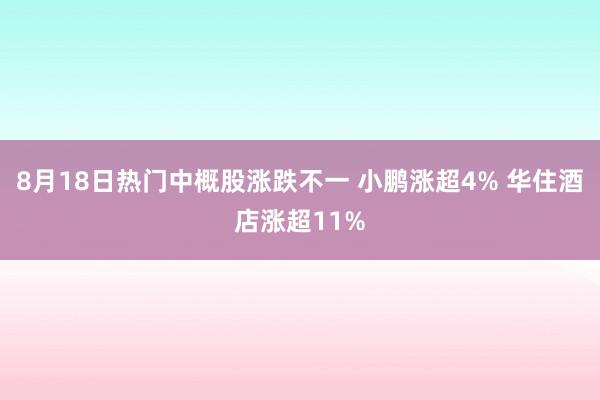 8月18日热门中概股涨跌不一 小鹏涨超4% 华住酒店涨超11%