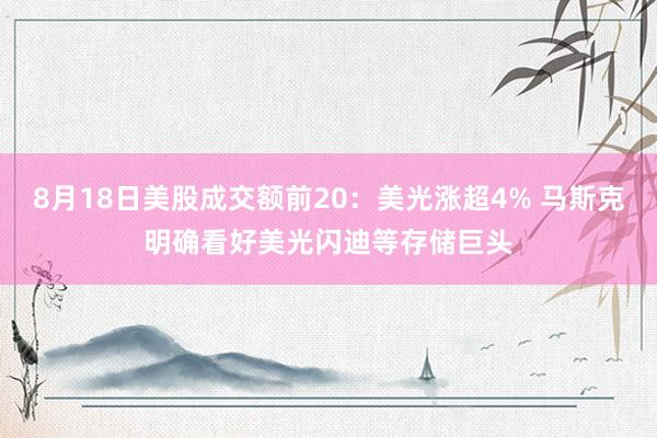 8月18日美股成交额前20：美光涨超4% 马斯克明确看好美光闪迪等存储巨头