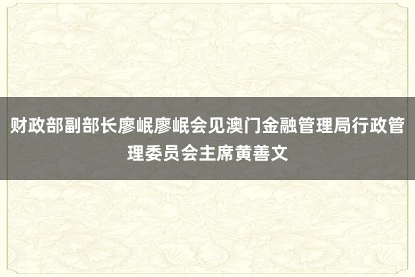 财政部副部长廖岷廖岷会见澳门金融管理局行政管理委员会主席黄善文