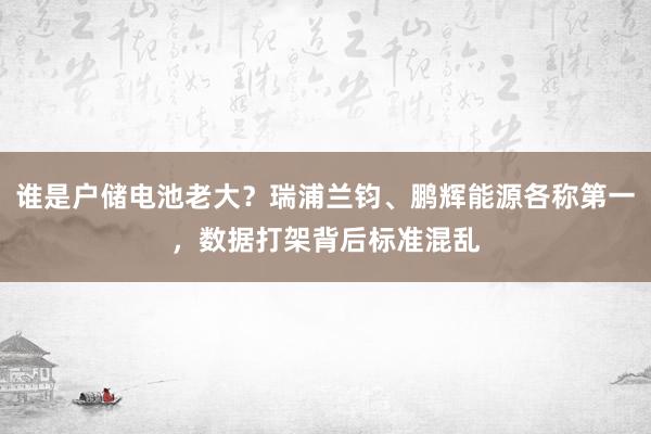 谁是户储电池老大？瑞浦兰钧、鹏辉能源各称第一，数据打架背后标准混乱