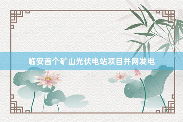 临安首个矿山光伏电站项目并网发电