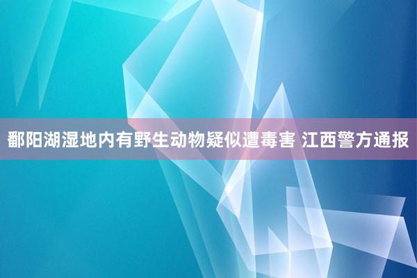 鄱阳湖湿地内有野生动物疑似遭毒害 江西警方通报