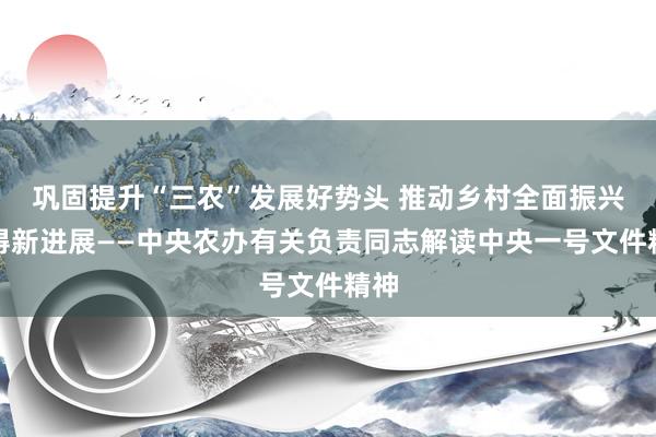 巩固提升“三农”发展好势头 推动乡村全面振兴取得新进展——中央农办有关负责同志解读中央一号文件精神