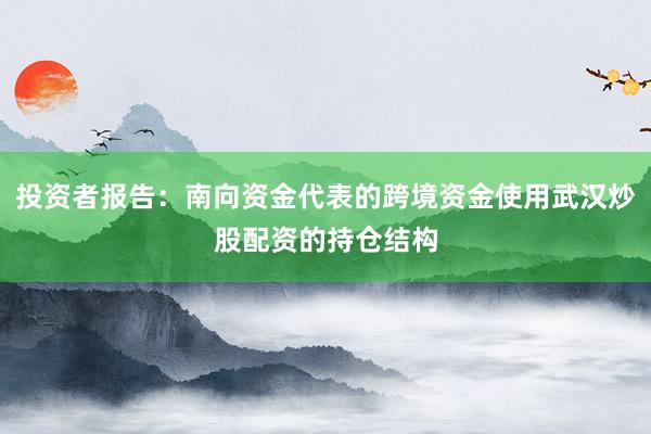 投资者报告：南向资金代表的跨境资金使用武汉炒股配资的持仓结构