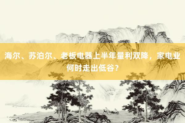 海尔、苏泊尔、老板电器上半年量利双降，家电业何时走出低谷？