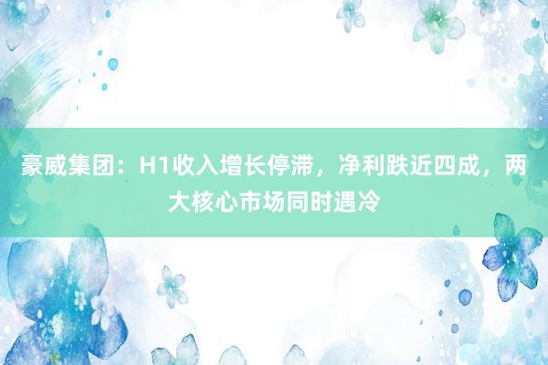 豪威集团：H1收入增长停滞，净利跌近四成，两大核心市场同时遇冷