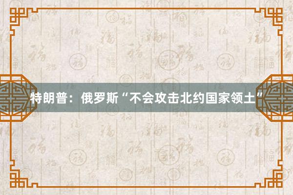 特朗普：俄罗斯“不会攻击北约国家领土”