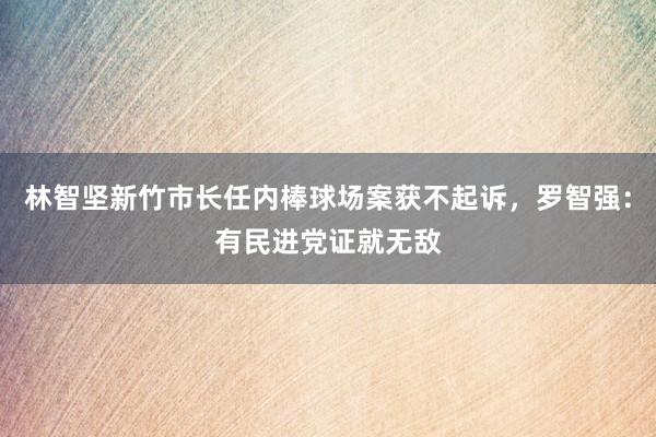 林智坚新竹市长任内棒球场案获不起诉，罗智强：有民进党证就无敌