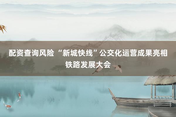 配资查询风险 “新城快线”公交化运营成果亮相铁路发展大会