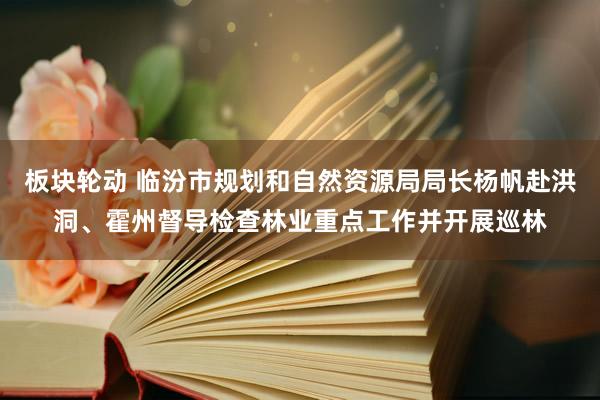 板块轮动 临汾市规划和自然资源局局长杨帆赴洪洞、霍州督导检查林业重点工作并开展巡林