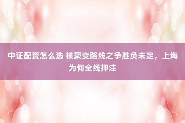 中证配资怎么选 核聚变路线之争胜负未定,上海为何全线押注