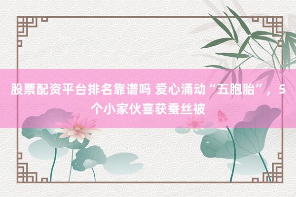 股票配资平台排名靠谱吗 爱心涌动“五胞胎”，5个小家伙喜获蚕丝被