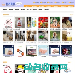 搞笑图片